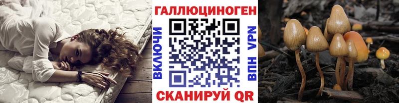 Псилоцибиновые грибы Psilocybe Кущёвская